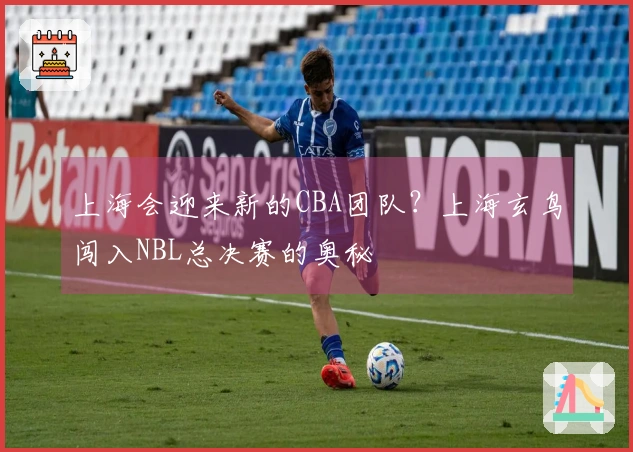 上海会迎来新的CBA团队？上海玄鸟闯入NBL总决赛的奥秘